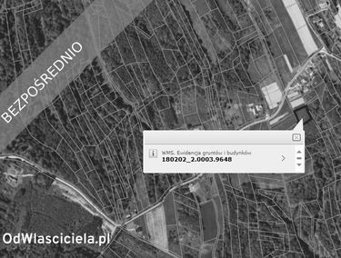Zdjęcie 15666324