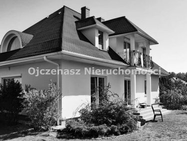 Zdjęcie 15667103