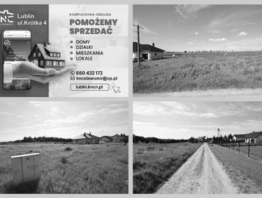Zdjęcie 15667122