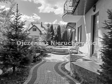 Zdjęcie 15667823
