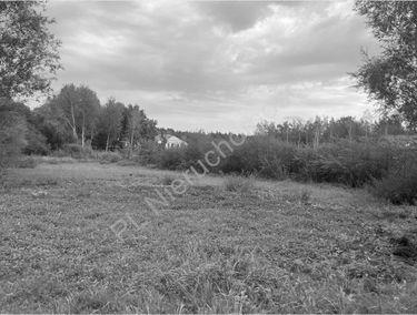 Zdjęcie 15669673