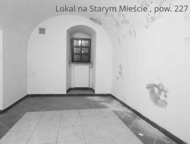 Zdjęcie 15669781