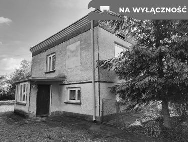 Zdjęcie 15671461
