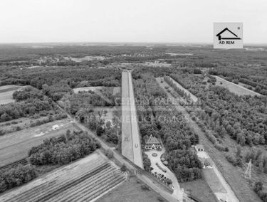 Zdjęcie 15671960