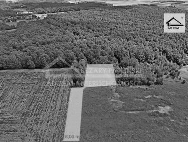 Zdjęcie 15671961