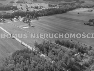 Zdjęcie 15672094