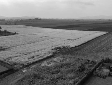 Zdjęcie 15672412