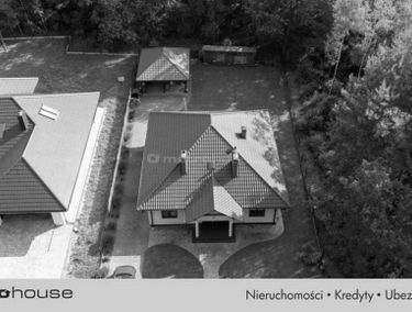 Zdjęcie 15674469