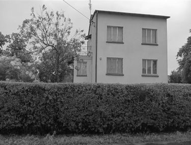 Zdjęcie 15675417