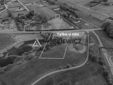 Zdjęcie 15675591