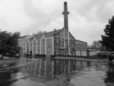 Zdjęcie 15675661