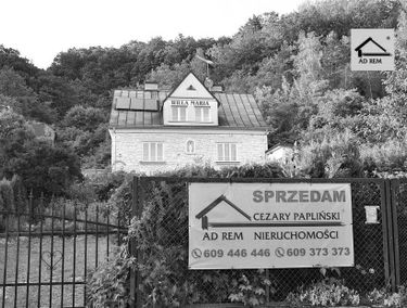 Zdjęcie 15675927