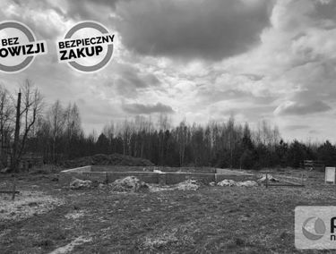 Zdjęcie 15676401