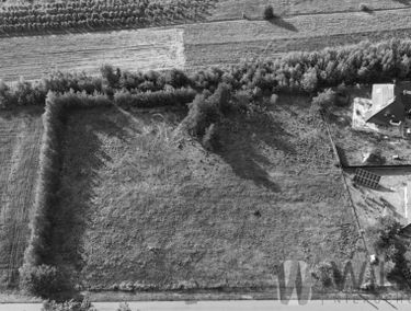 Zdjęcie 15676443