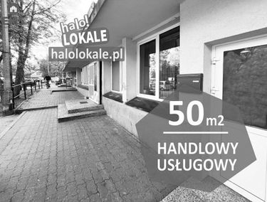 Zdjęcie 15676605
