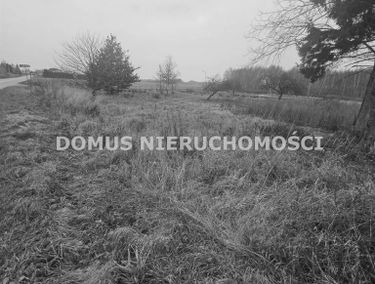Zdjęcie 15677432