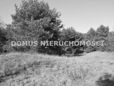 Zdjęcie 15678090