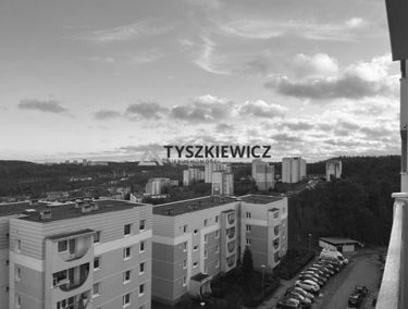 Zdjęcie 15678093
