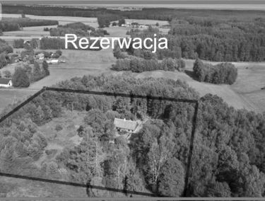 Zdjęcie 15678999