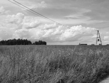 Zdjęcie 15680291