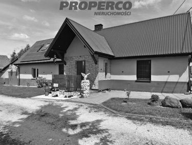 Zdjęcie 15681915