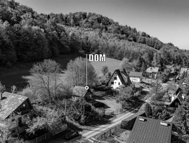 Zdjęcie 15682561