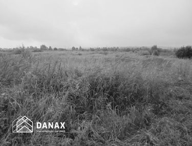 Zdjęcie 15683899