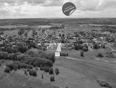 Zdjęcie 15684350