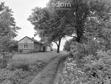 Zdjęcie 15684451