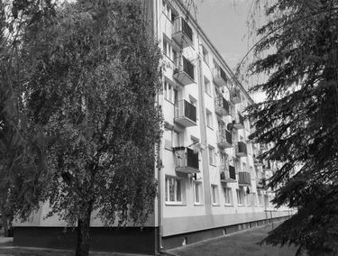 Zdjęcie 15685605