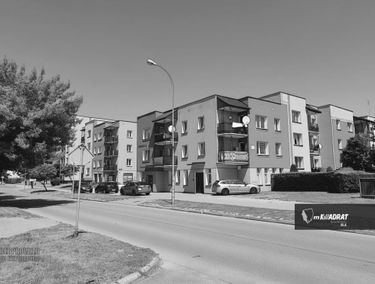 Zdjęcie 15686310