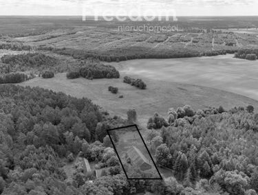 Zdjęcie 15687021