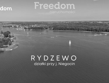 Zdjęcie 15687392