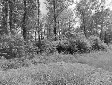 Zdjęcie 15688010