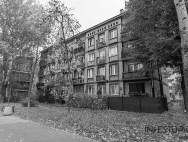 Zdjęcie 15688081