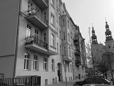 Zdjęcie 15688493