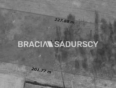 Zdjęcie 15689548