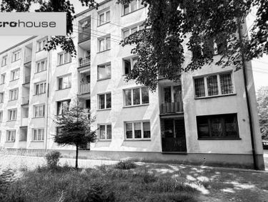 Zdjęcie 15691123