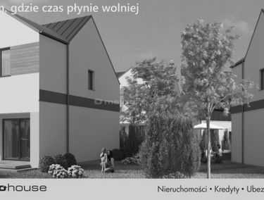 Zdjęcie 15691210