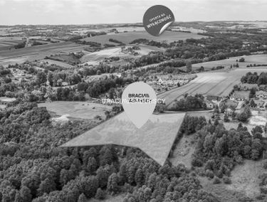 Zdjęcie 15691453