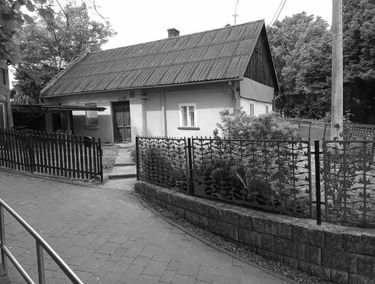 Zdjęcie 15691742
