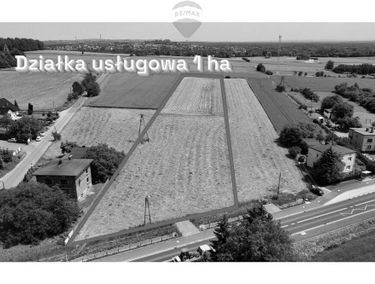 Zdjęcie 15692544
