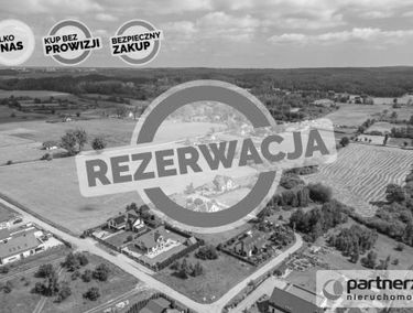 Zdjęcie 15693224
