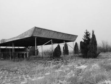 Zdjęcie 15693334