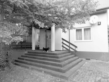 Zdjęcie 15693381