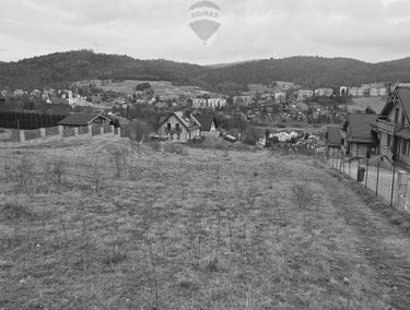 Zdjęcie 15693518