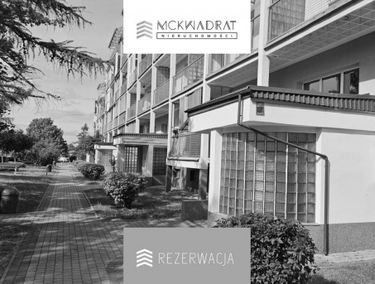 Zdjęcie 15694931