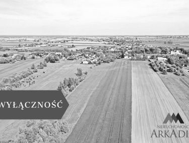 Zdjęcie 15695891