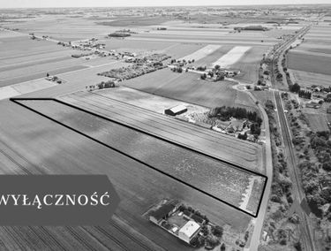 Zdjęcie 15695913