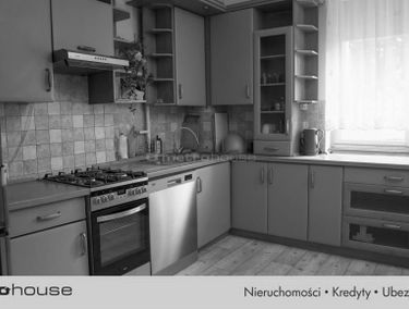 Zdjęcie 15695962
